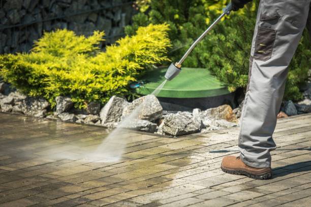 Best Window and Screen Pressure Cleaning in Sun Prairie, WI